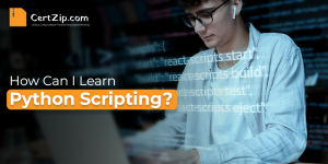 Python Scripting Certification Training