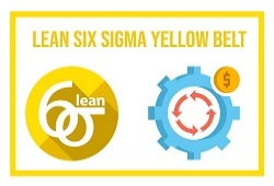 Lean Six Sigma Yellow Belt (SSYB)